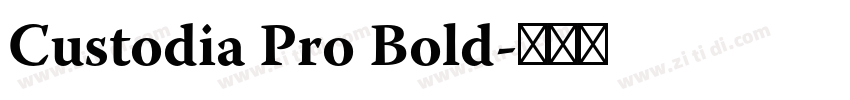 Custodia Pro Bold字体转换